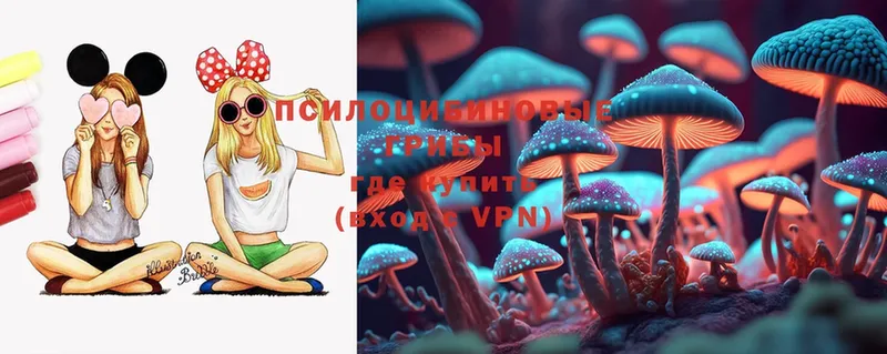 Псилоцибиновые грибы Magic Shrooms  Мосальск 